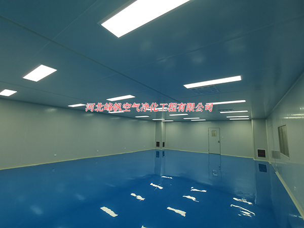河北特洁特医疗器械洁净车间工程